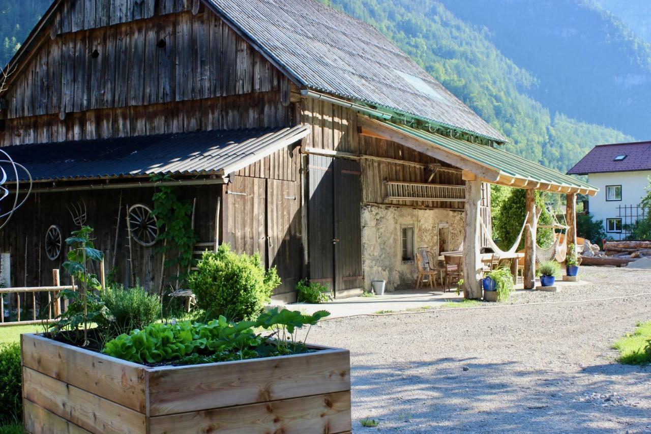 Chalet Am Sonnenhang Obertraun Dış mekan fotoğraf
